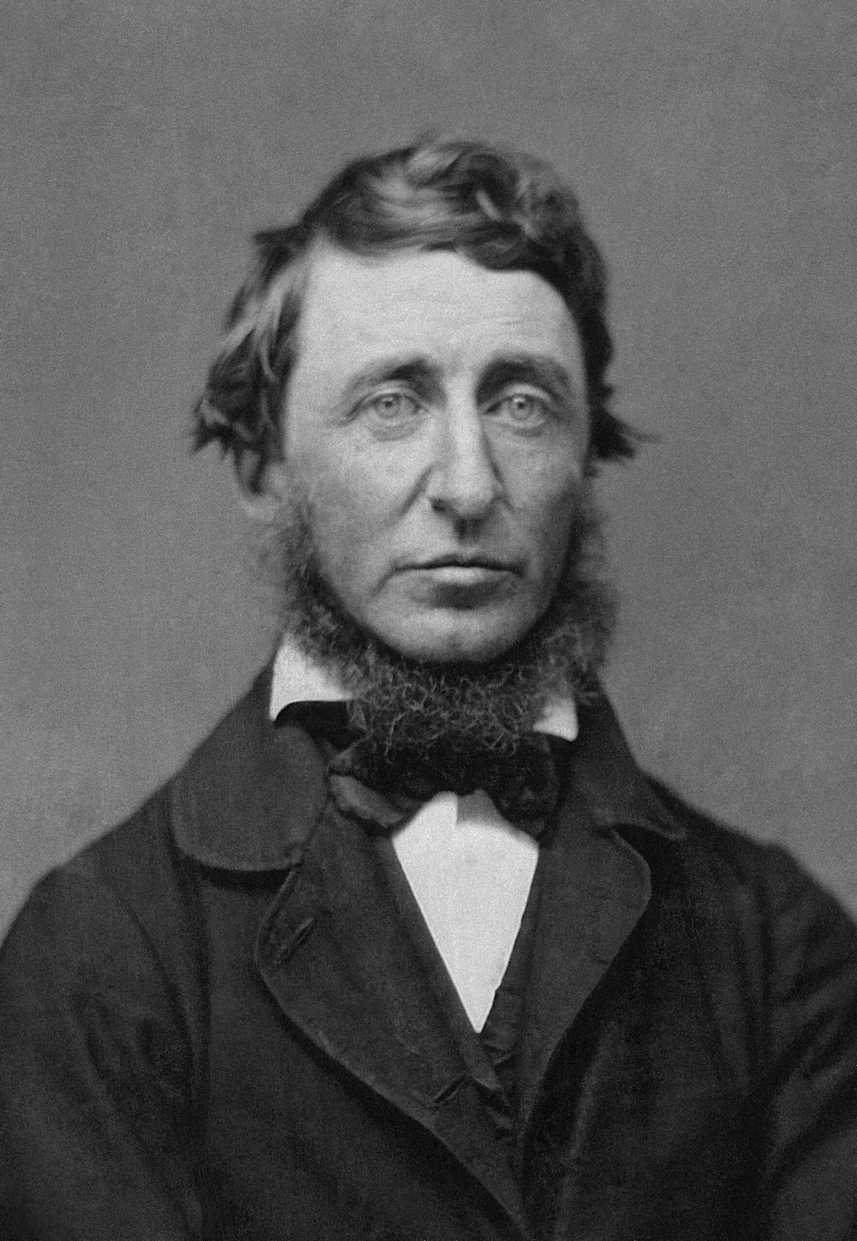 Henry David Thoreau, Filosofía Básica ✍️